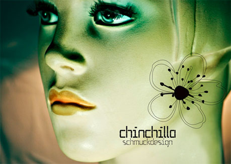Chinchilla