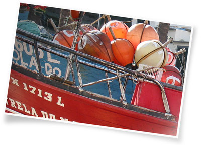 Madeira - Momentaufnahme am Hafen